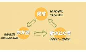 揭秘大学生创新创业项目,从科技到文化的多元探索 揭秘大学生创新创业项目,从科技到文化的多元探索